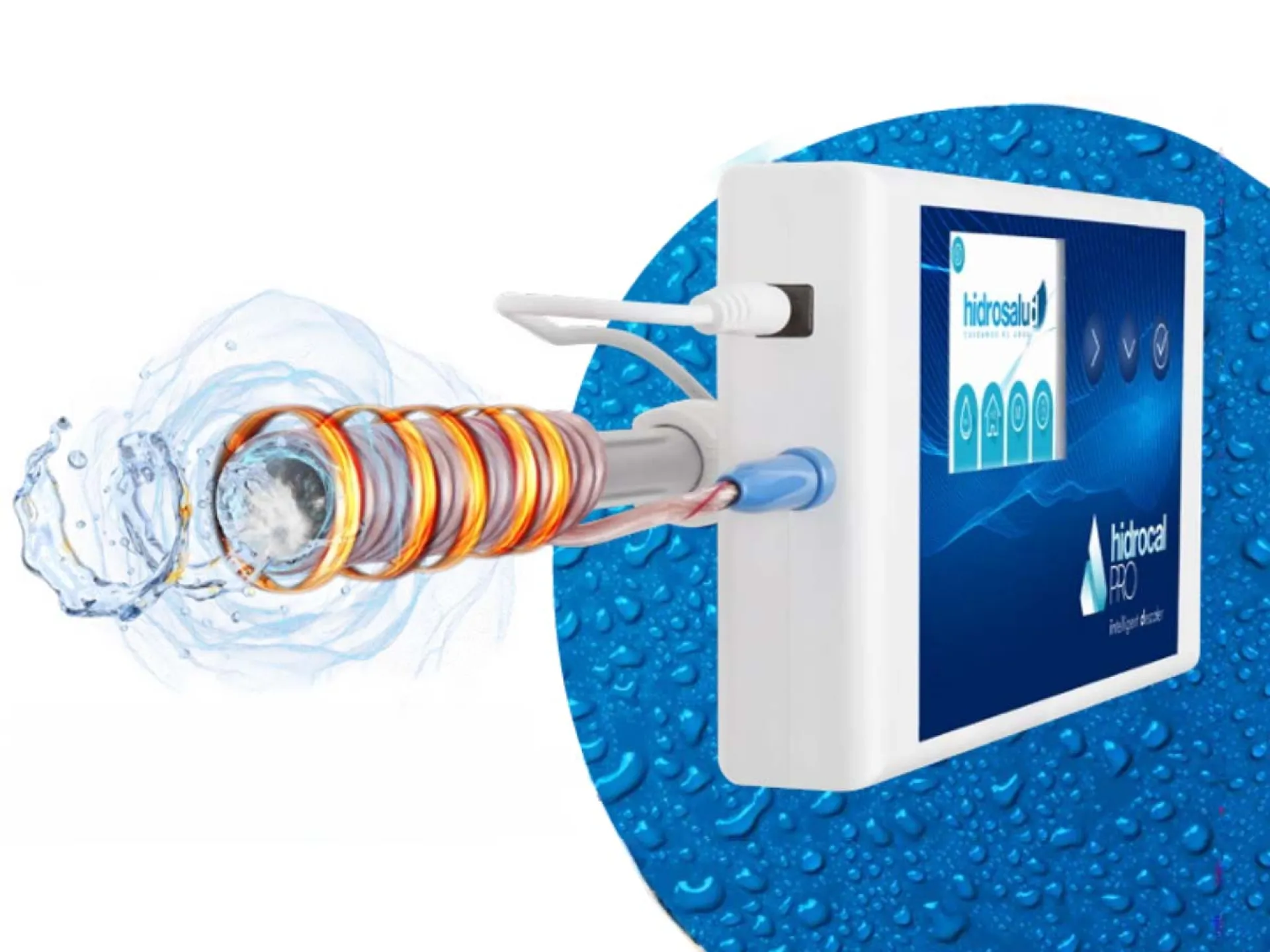 <?php echo $titleSelectedCat; ?>