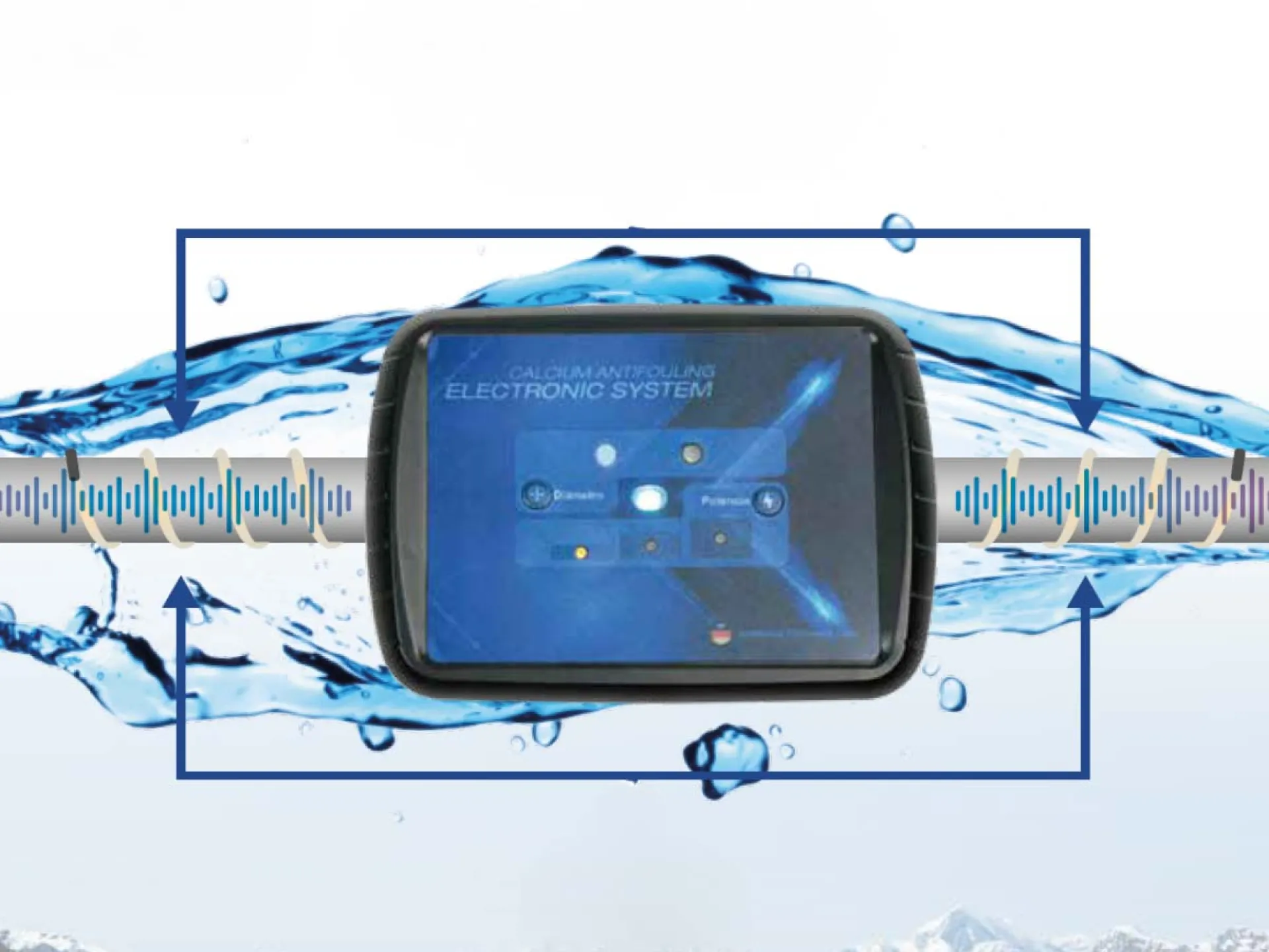 <?php echo $titleSelectedCat; ?>